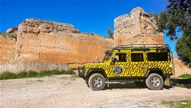 Zebra Safari Tours - Tour and Activities Organizer (RNAAT103 / RNAVT6073)