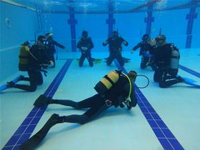Easydivers - Albufeira PADI Diving Centre and Maritime Tourism Events