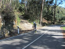 Albufeira Bike Rental - Aluguer e Passeios de Bicicletas • Férias Ciclistas