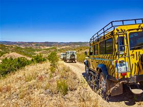 Zebra Safari Tours - Organização de Tours e Experiências (RNAAT103 / RNAVT6073)