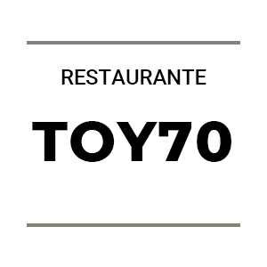 Toy70 logo