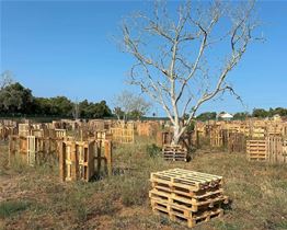 Crazy PaintBall Adventure - Paintball Games in Albufeira and Portimão