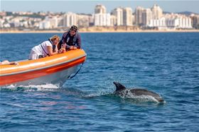 Ski Molhado - Water Sports