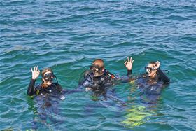 Easydivers - Albufeira PADI Diving Centre and Maritime Tourism Events